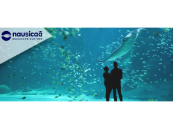 Nausicaa