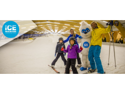 Ice Mountain SKI & SNOWBOARD (E-billets)