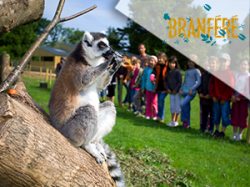 Branféré - Muzillac