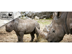 Zoo de la Barben (E-Billets)