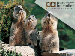 Parc animalier des Pyrénées (E-billets)