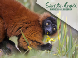 Parc Sainte Croix (E-billets)