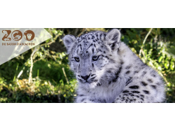 Zoo Bassin d'Arcachon (E-Billets)