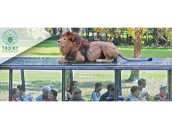 Zoo De Thoiry (E-Billets)